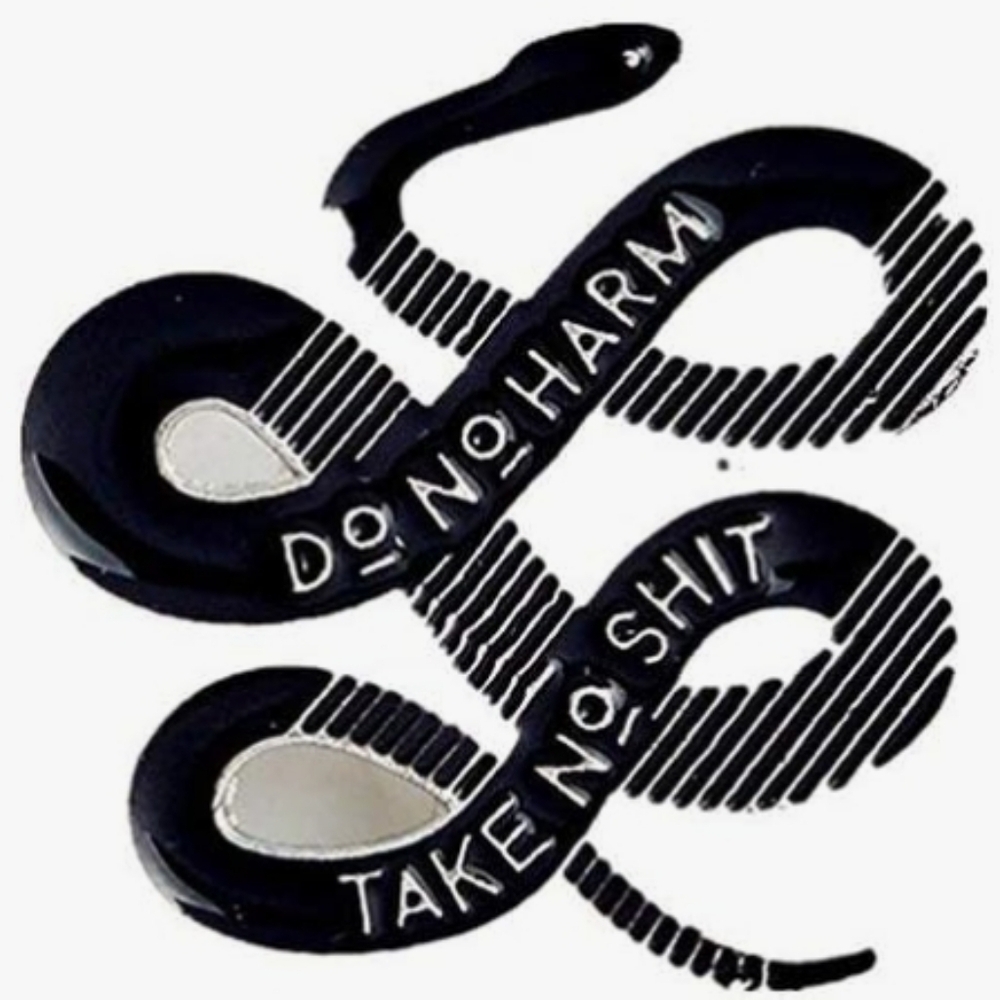 Black Reptile Enamel Pin – 'Do No Harm, Take No Shit'